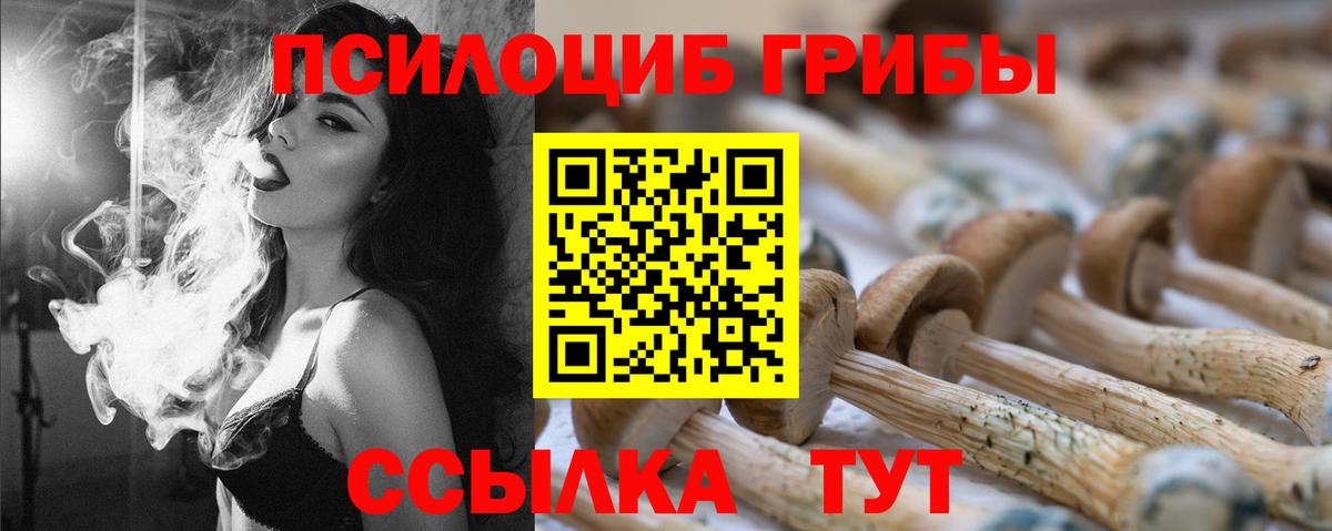 Городец  Галлюциногенные грибы Psilocybine cubensis  Псилоцибиновые грибы Magic Shrooms  Вход с VPN 